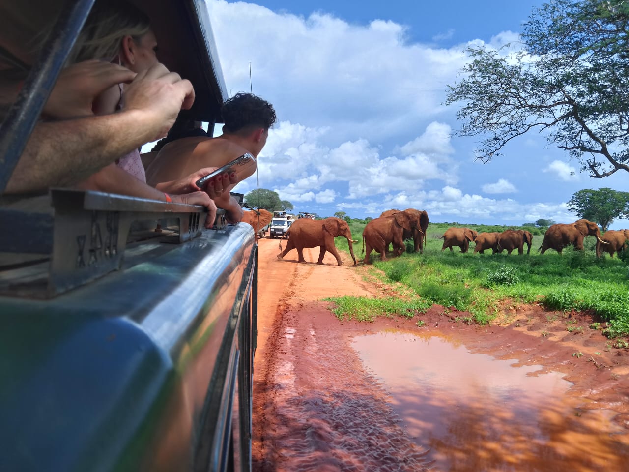 Fachowiec przy pracy